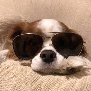 Meet your Posher, Emma